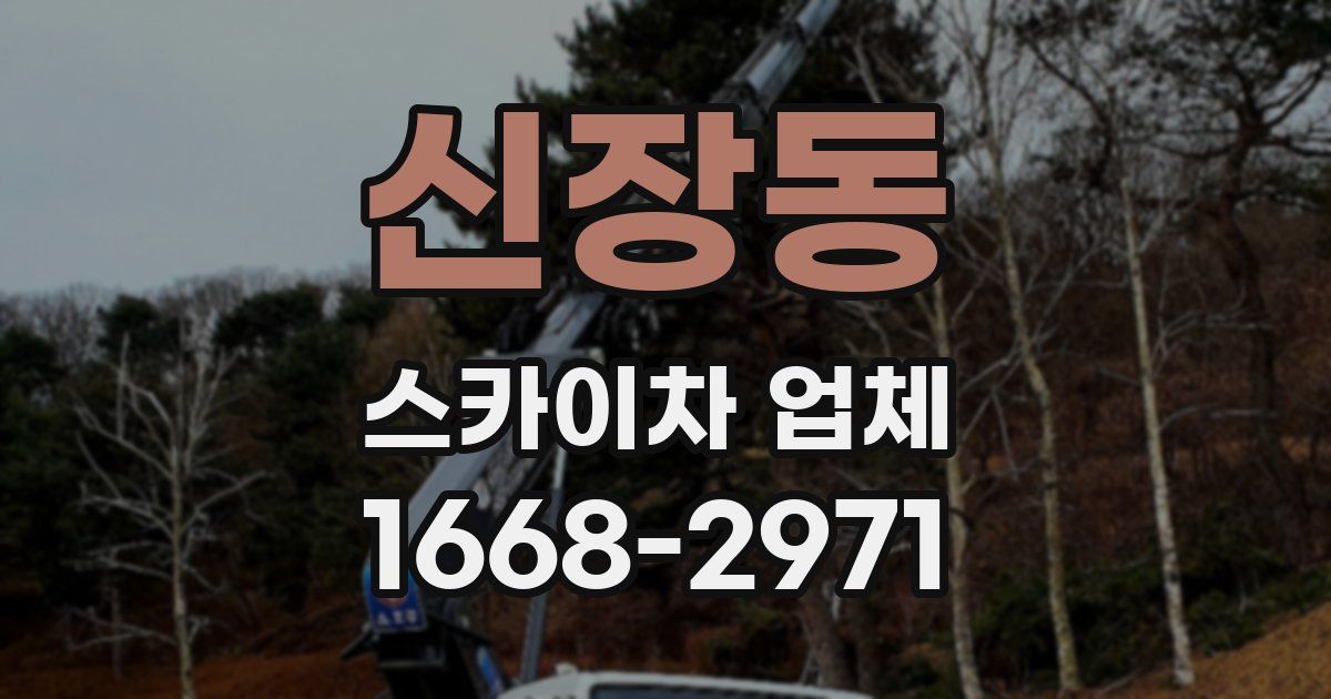 신장동 스카이차 업체