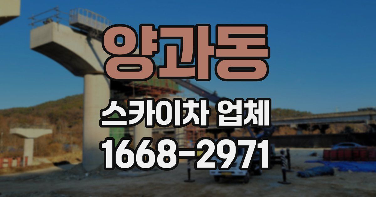 양과동 스카이차 업체