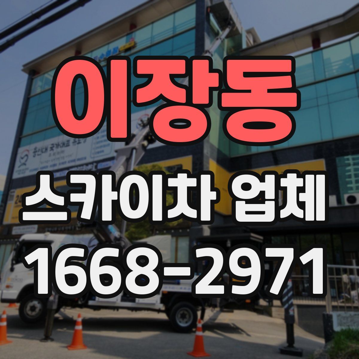 이장동 스카이차 업체