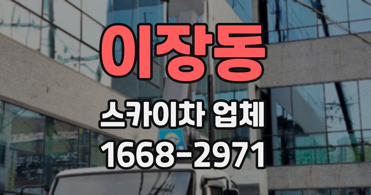 이장동 스카이차 업체