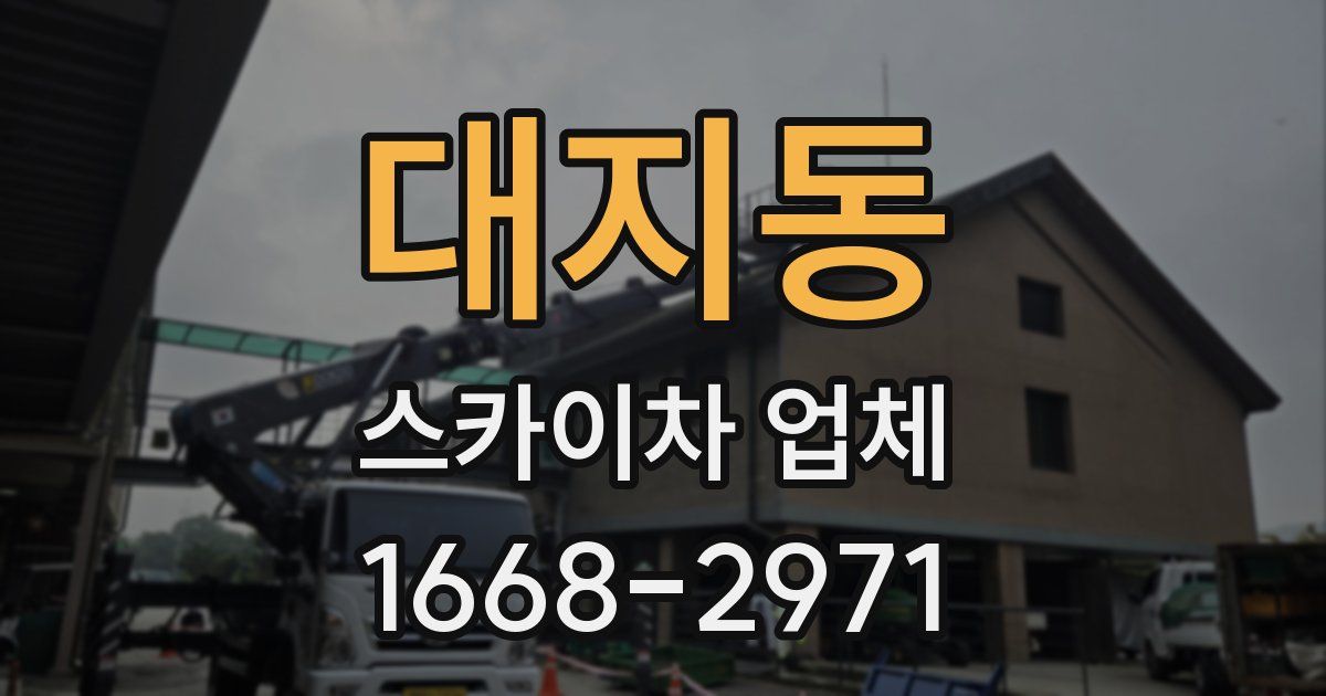 대지동 스카이차 업체