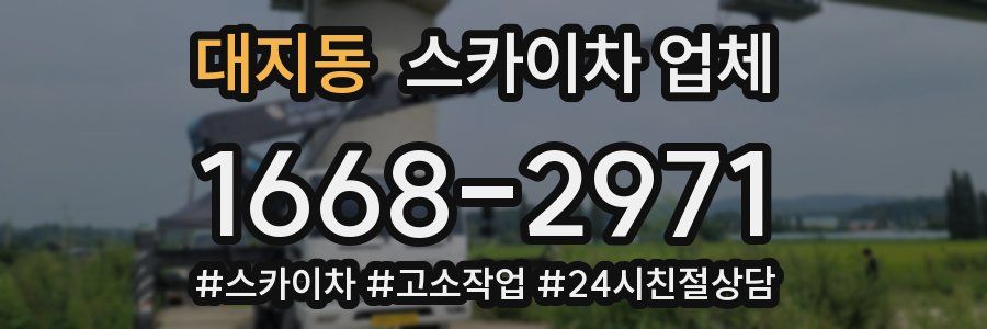 대지동 스카이차 업체
