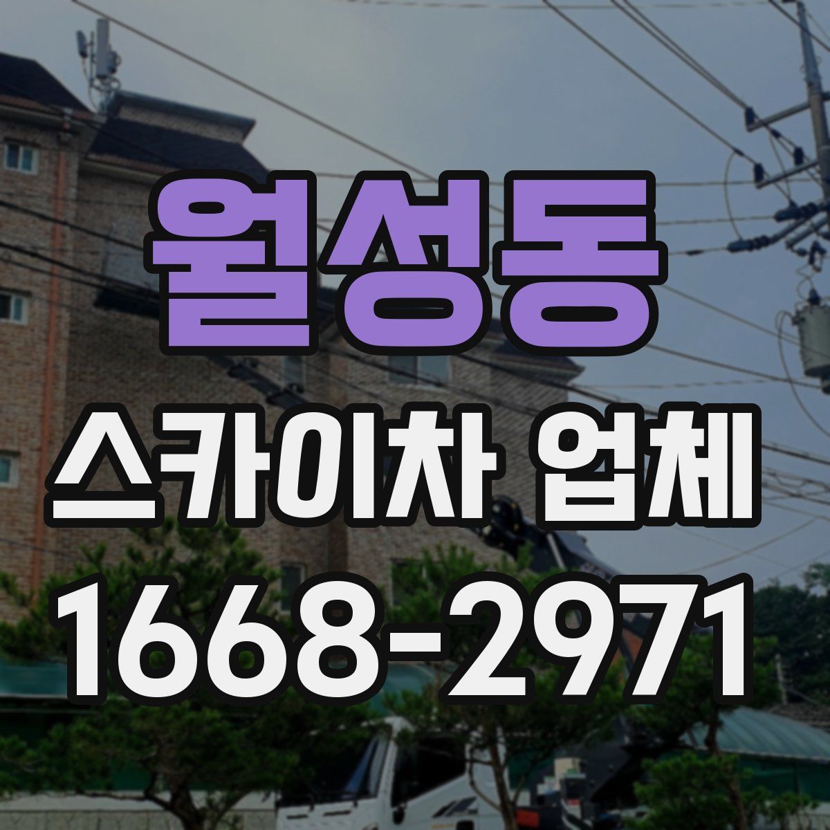 월성동 스카이차 업체