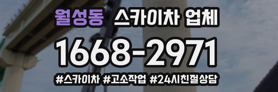 월성동 스카이차 업체