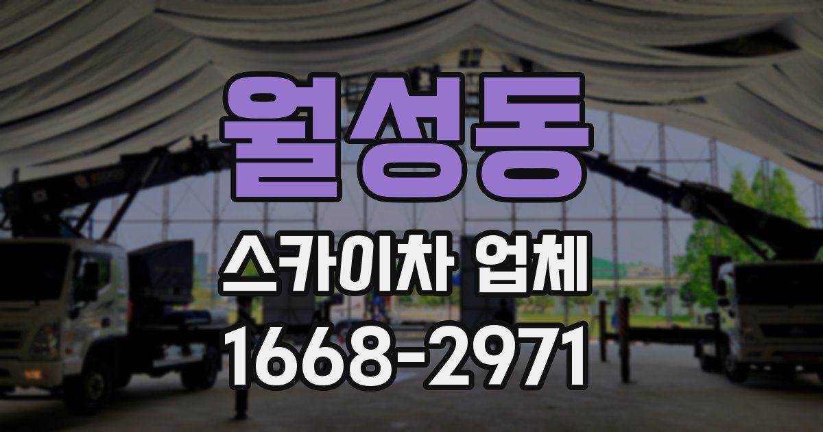 월성동 스카이차 업체