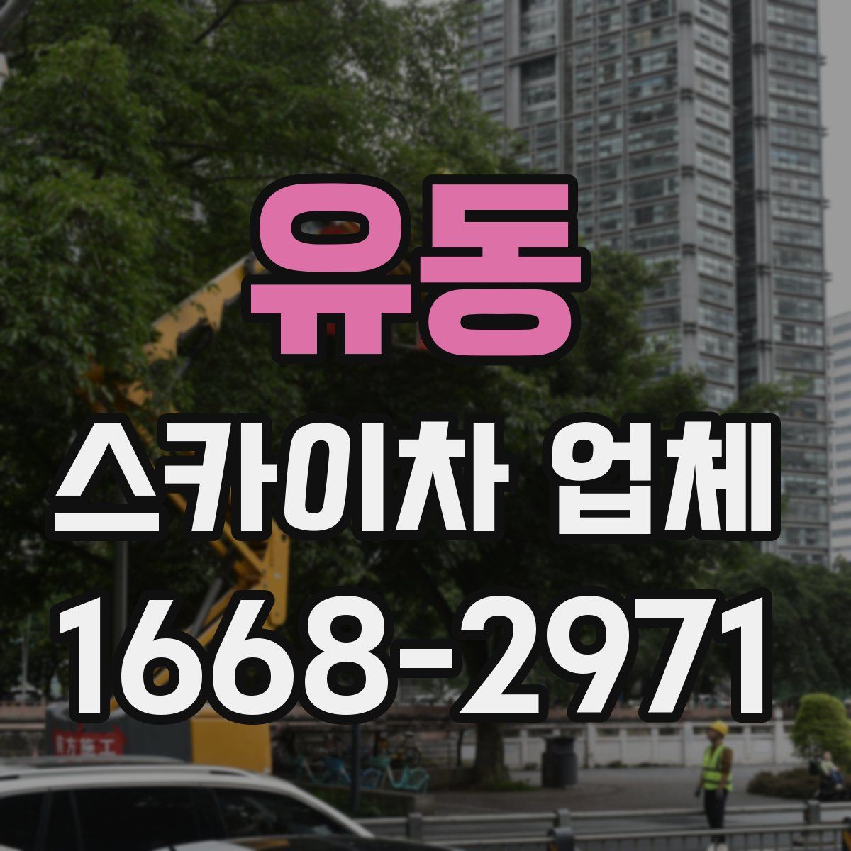 유동 스카이차 업체