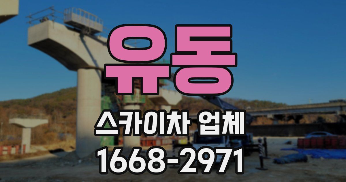 유동 스카이차 업체