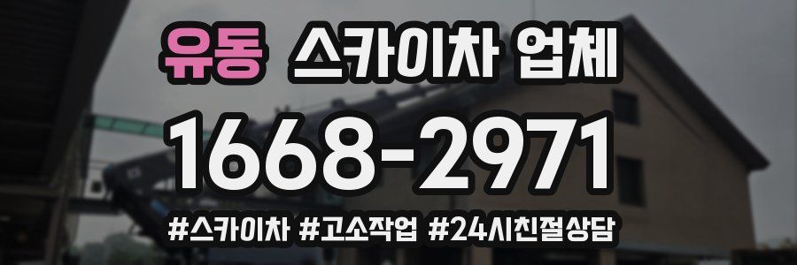 유동 스카이차 업체