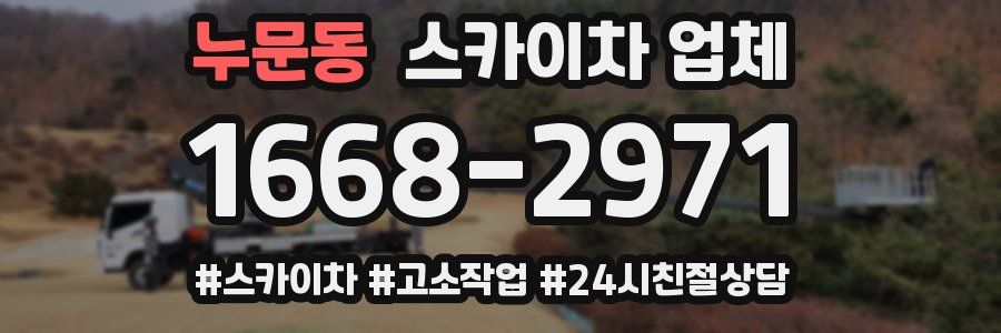 누문동 스카이차 업체