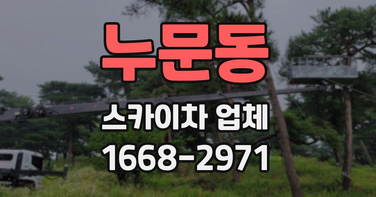 누문동 스카이차 업체