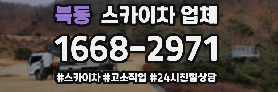 북동 스카이차 업체