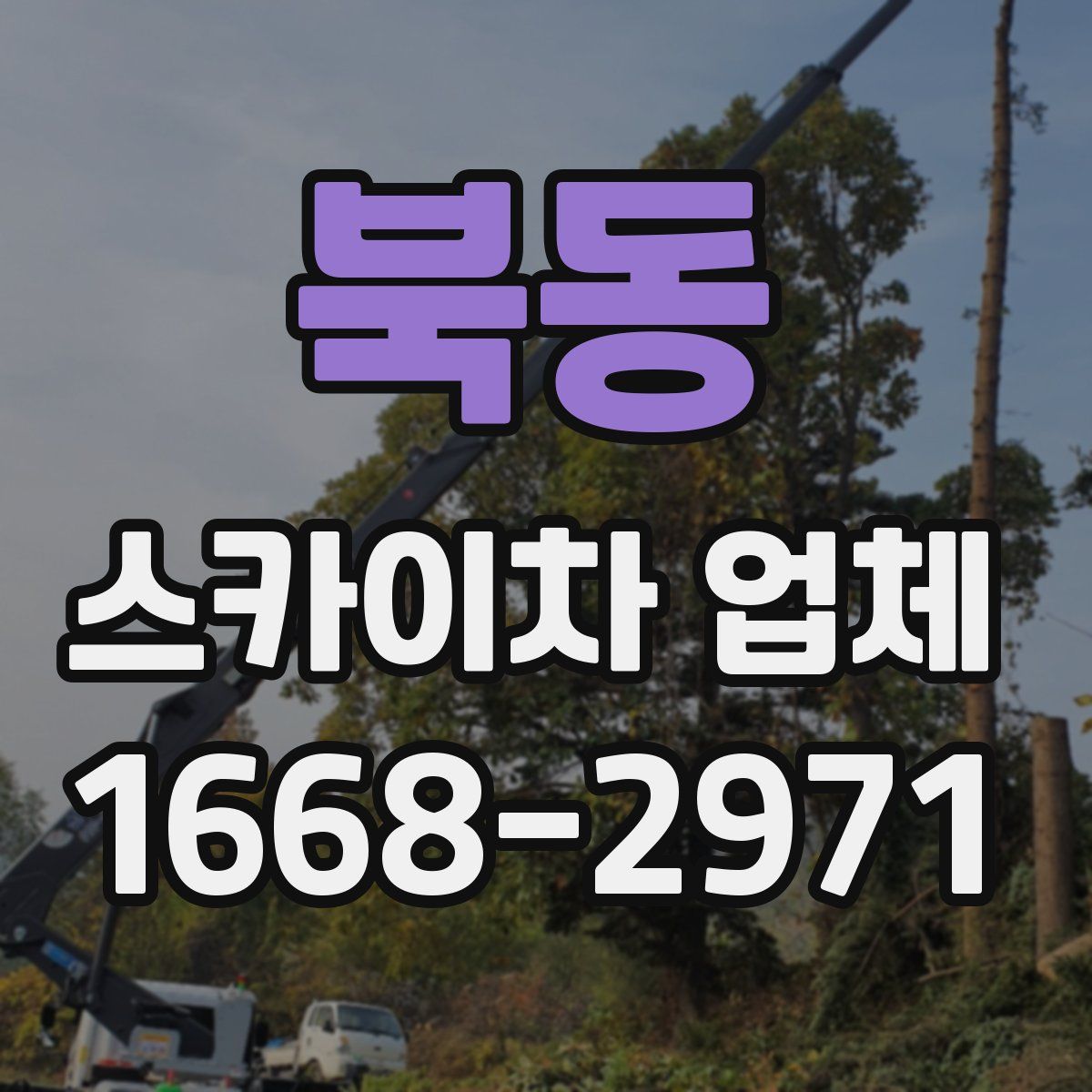 북동 스카이차 업체