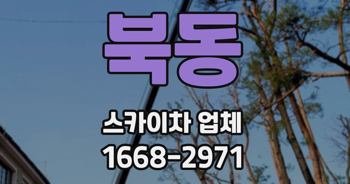 북동 스카이차 업체