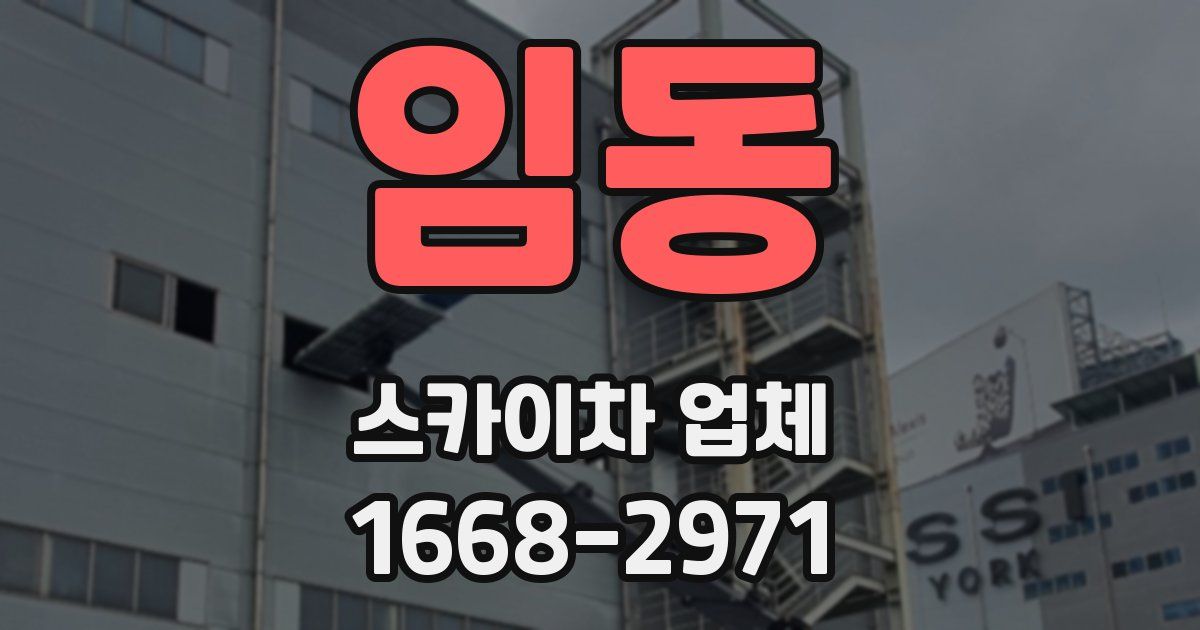 임동 스카이차 업체