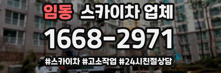 임동 스카이차 업체