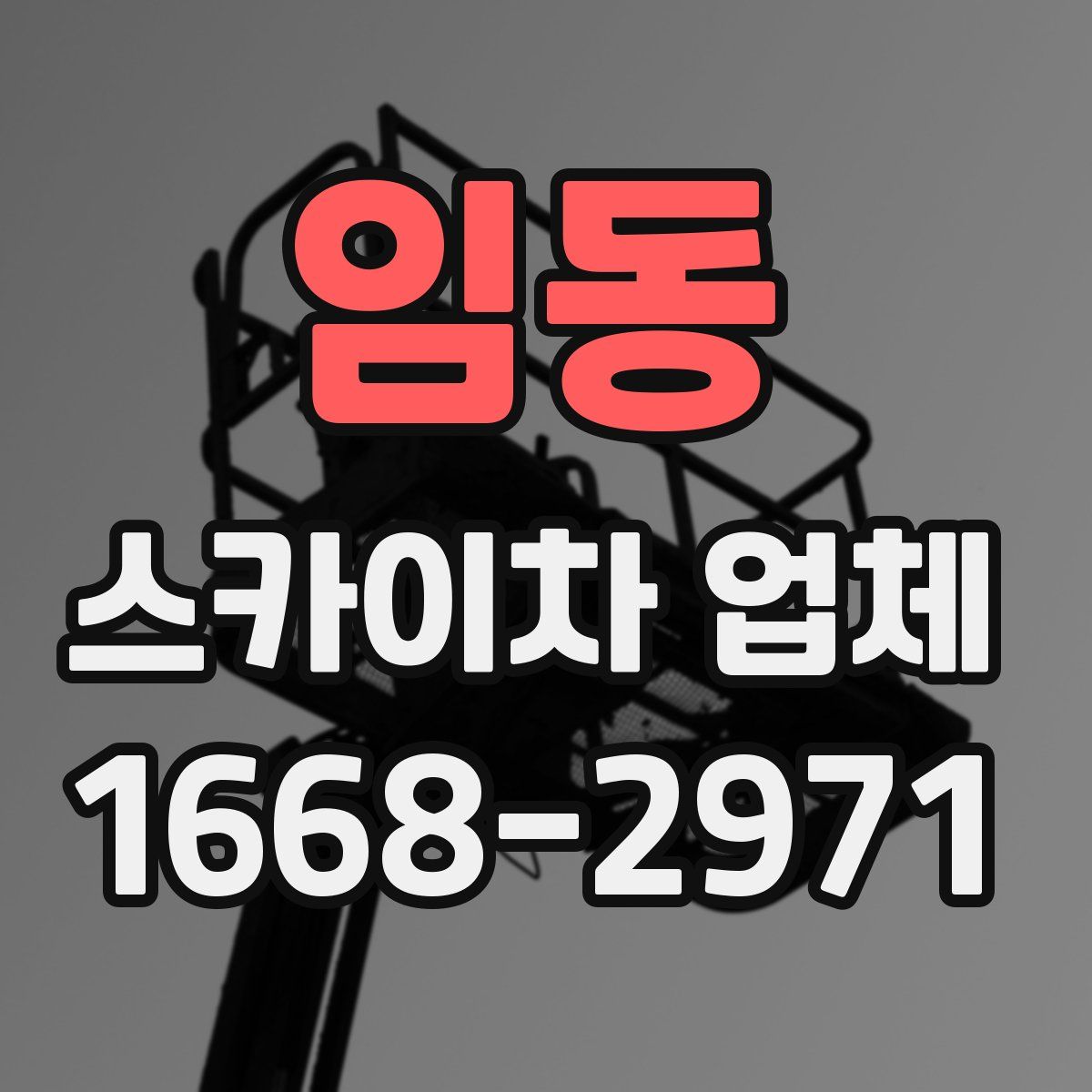 임동 스카이차 업체