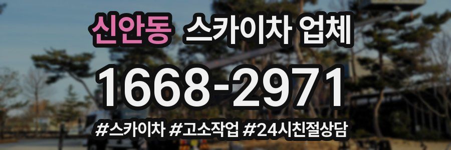 신안동 스카이차 업체