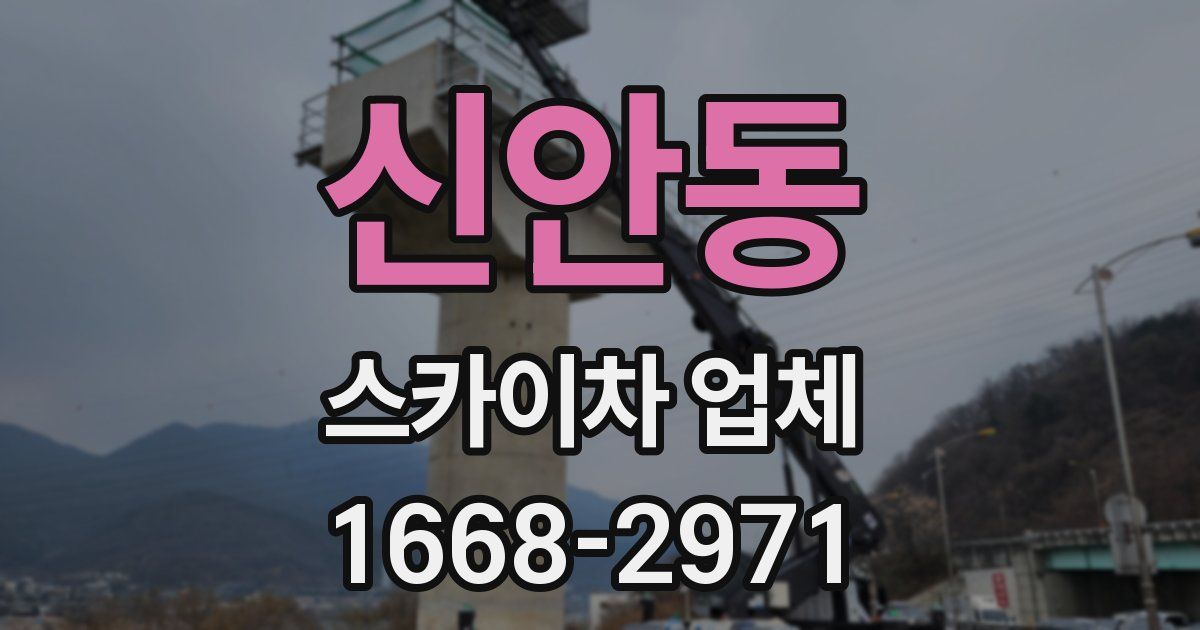 신안동 스카이차 업체