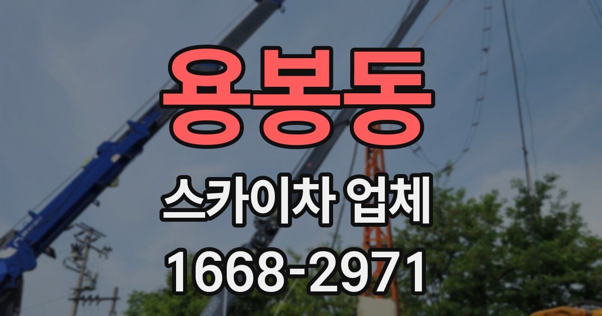 용봉동 스카이차 업체