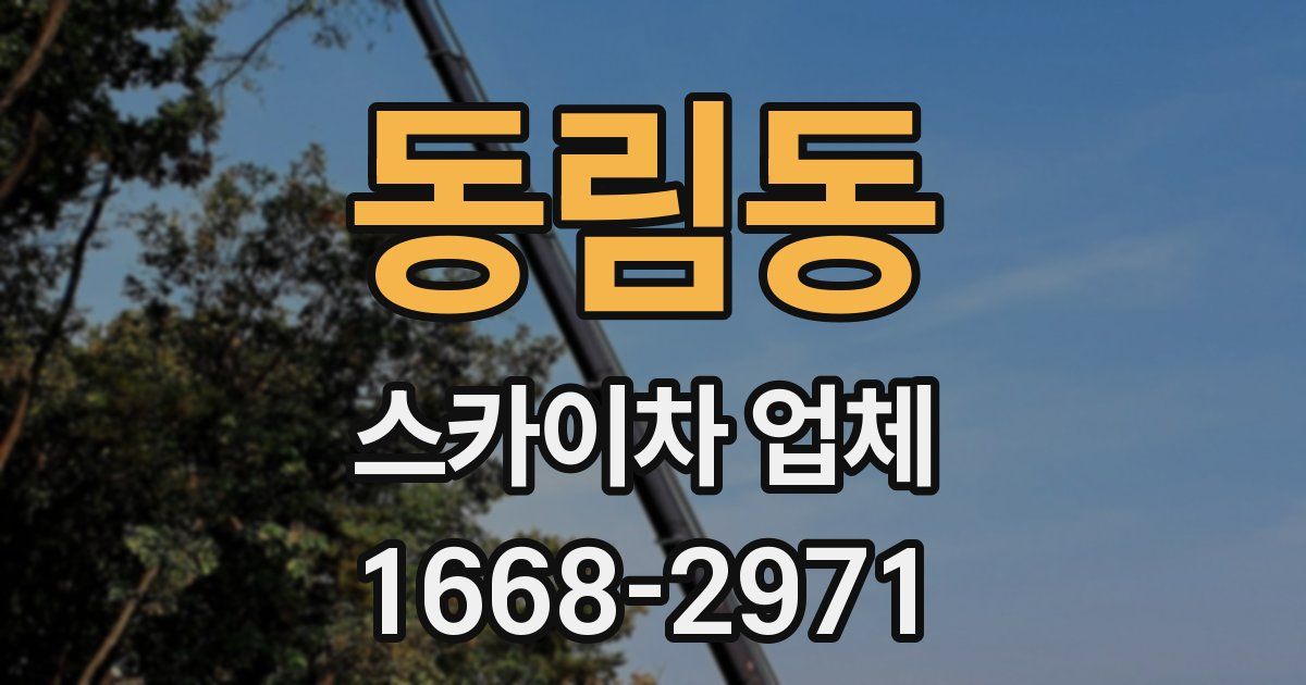 동림동 스카이차 업체