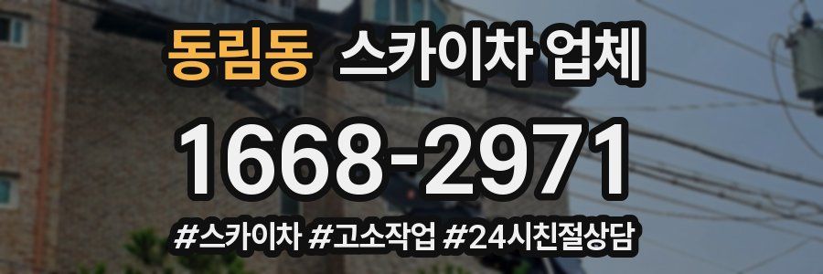 동림동 스카이차 업체