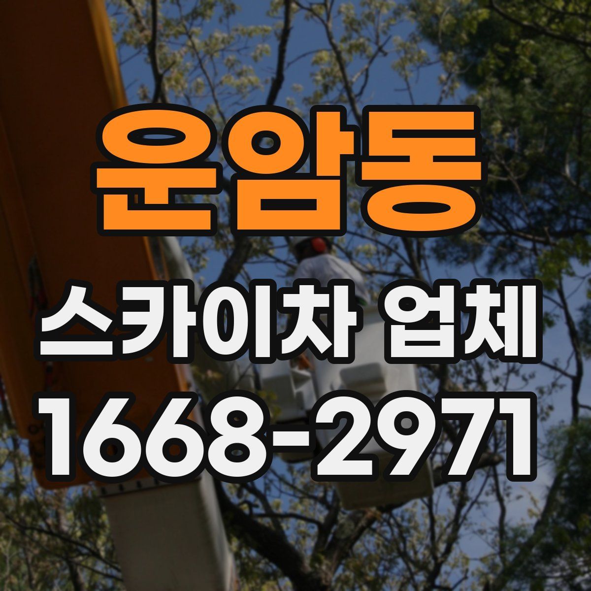 운암동 스카이차 업체