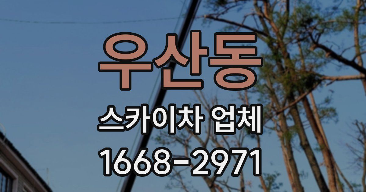 우산동 스카이차 업체