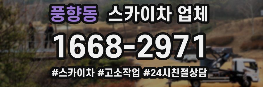 풍향동 스카이차 업체