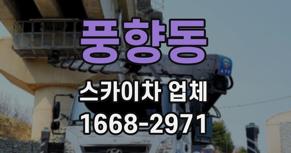 풍향동 스카이차 업체