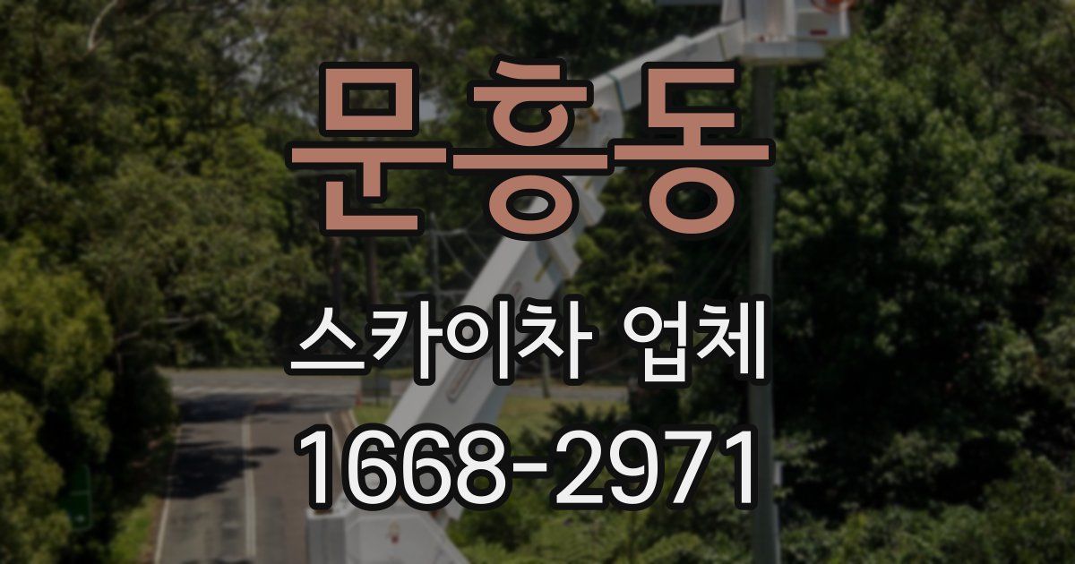 문흥동 스카이차 업체