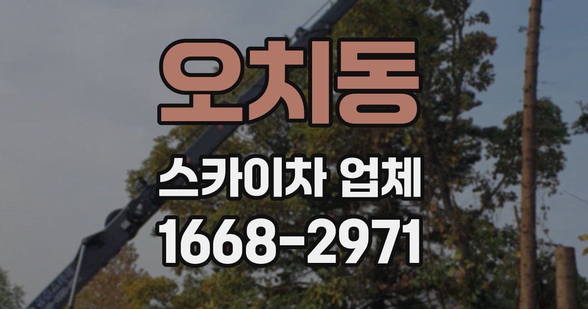 오치동 스카이차 업체