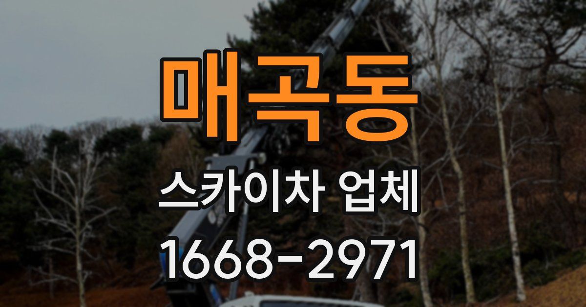 매곡동 스카이차 업체