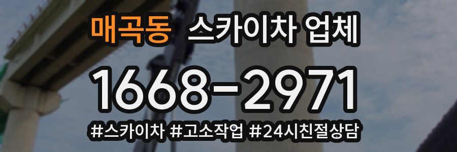 매곡동 스카이차 업체