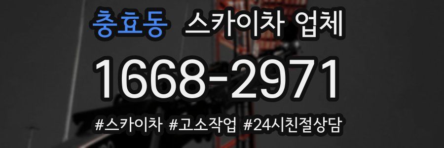 충효동 스카이차 업체