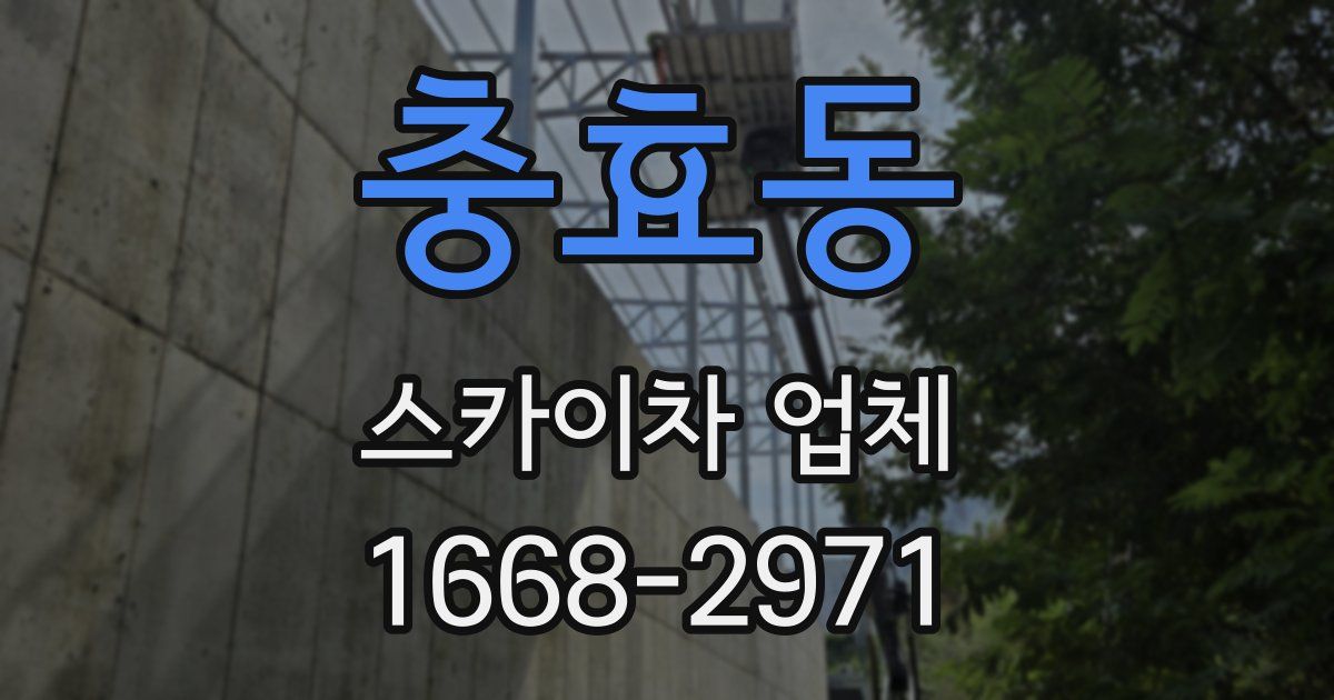 충효동 스카이차 업체