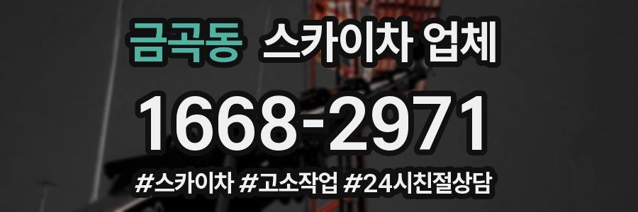 금곡동 스카이차 업체