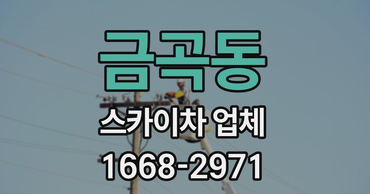 금곡동 스카이차 업체