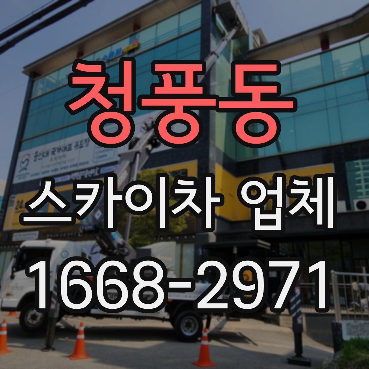 청풍동 스카이차 업체