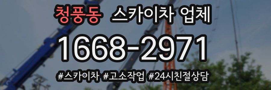 청풍동 스카이차 업체