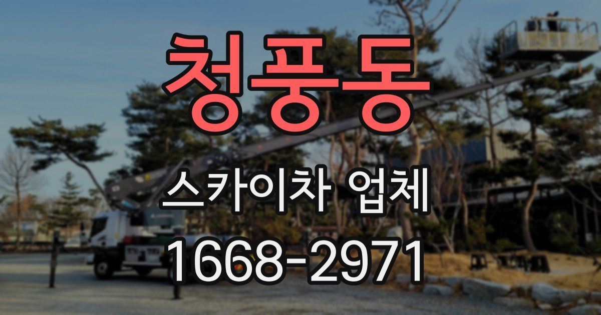 청풍동 스카이차 업체