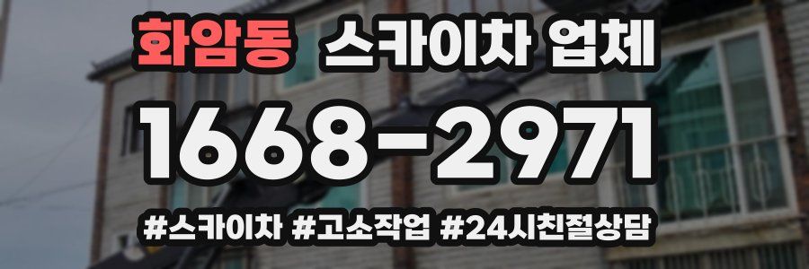 화암동 스카이차 업체