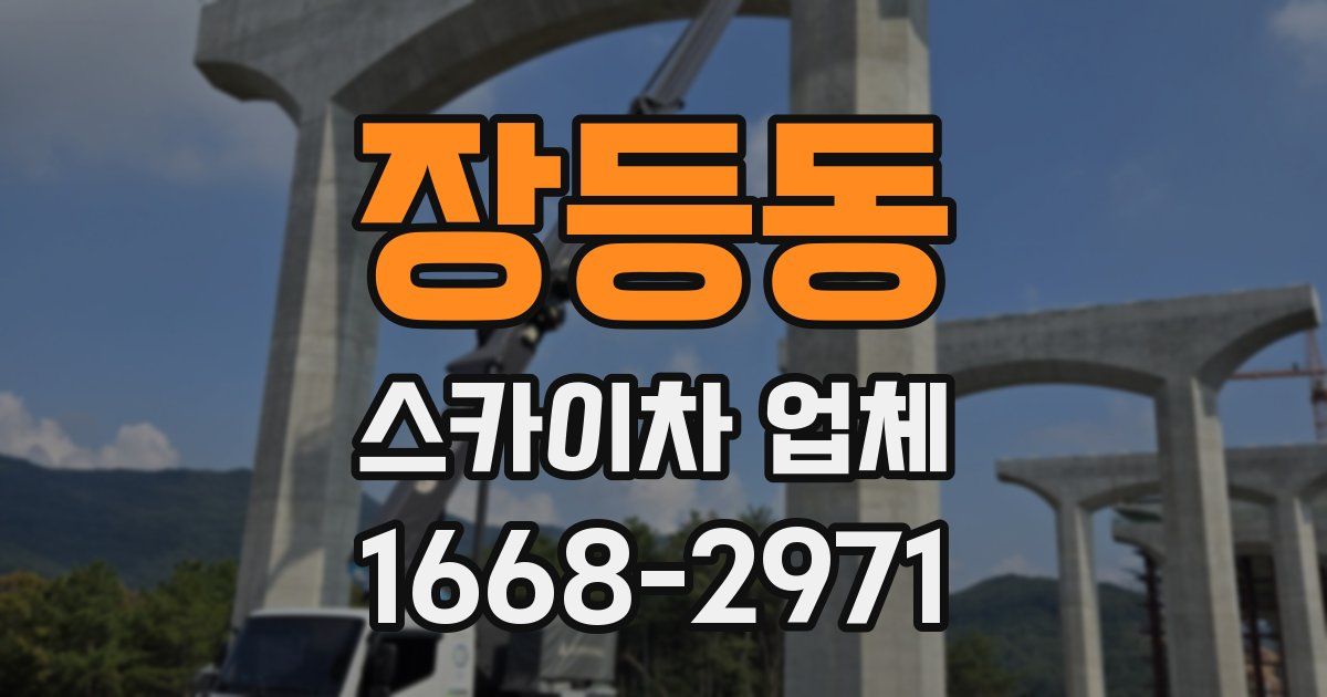 장등동 스카이차 업체
