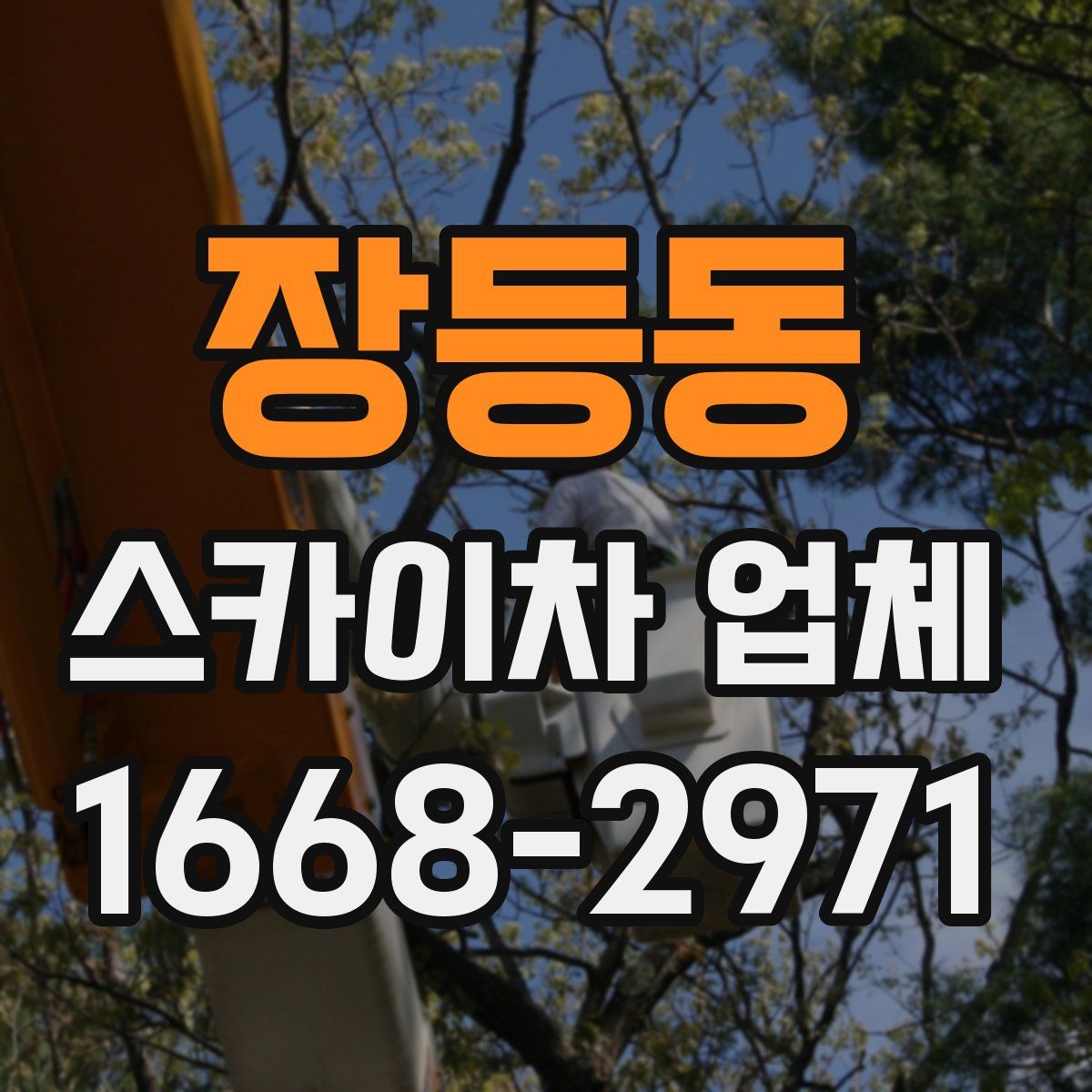 장등동 스카이차 업체