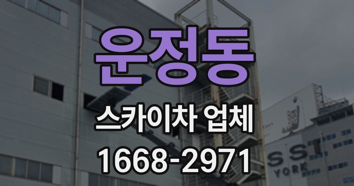 운정동 스카이차 업체