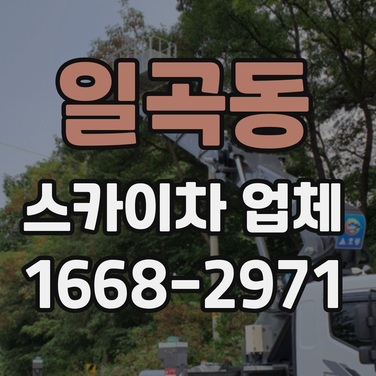 일곡동 스카이차 업체