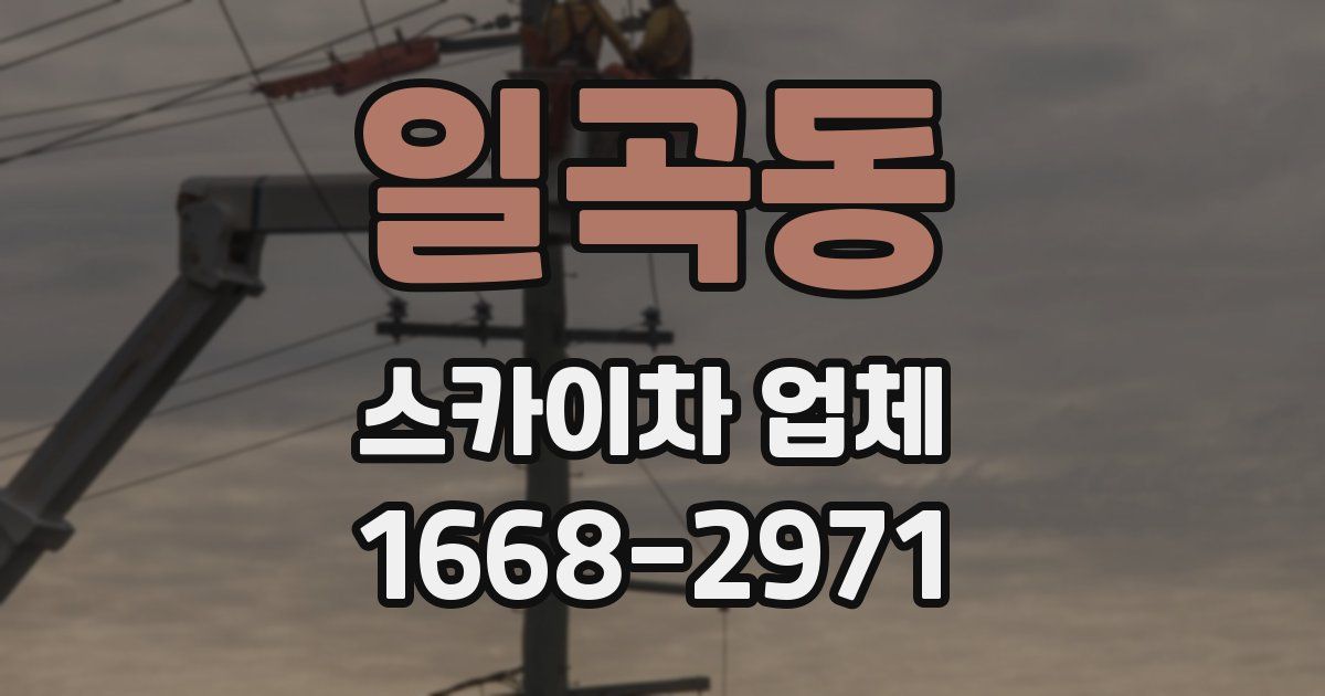 일곡동 스카이차 업체