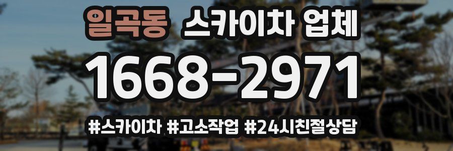일곡동 스카이차 업체