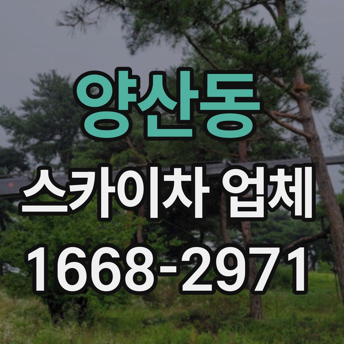 양산동 스카이차 업체