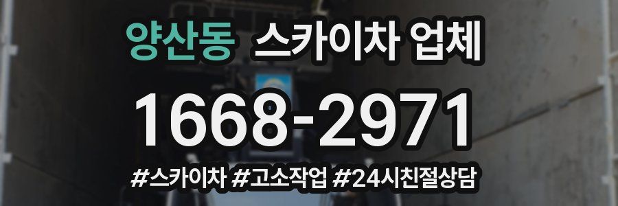양산동 스카이차 업체