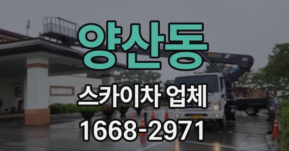 양산동 스카이차 업체